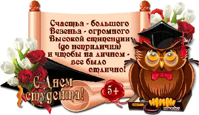 Прикольные поздравления с днем студента 17 ноября: проза, открытки -  Телеграф