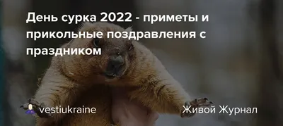 День сурка 2020: забавные поздравления и открытки - «ФАКТЫ»