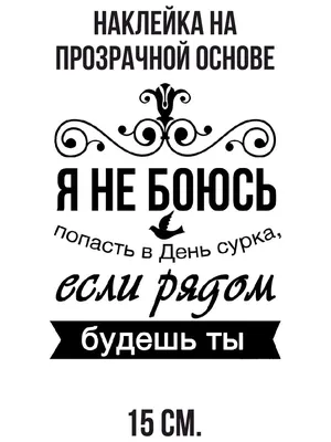 день сурка / прикольные картинки, мемы, смешные комиксы, гифки - интересные  посты на JoyReactor