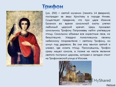 14 февраля - день памяти мученика Трифона Апамейского