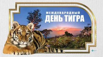 Международный день тигра | Институт экологии горных территорий им. А.К.  Темботова