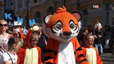 День тигра в Минском зоопарке | ПРЯМОЙ ЭФИР - YouTube