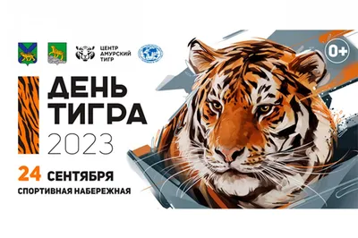День тигра 29 июля: теплые открытки и новые поздравления в международный  праздник | Весь Искитим | Дзен