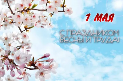 День труда (DVD), купить в Москве, цены в интернет-магазинах на Мегамаркет