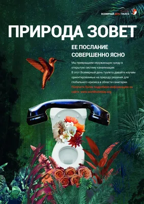 19 ноября – Всемирный день туалета - Экоплощадка «Зеленый КОТ» (ЗелеКот),  г. Зеленоградск