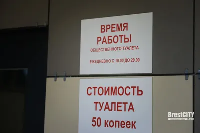 ООН on X: "Всемирный день туалета 19 ноября посвящен в этом году сточным  водам. Для миллиардов людей во всем мире системы санитарии либо  отсутствуют, либо неэффективны. Фекалии попадают в сточные воды, что