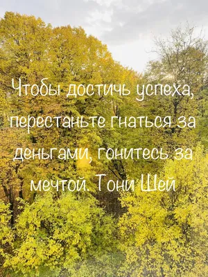 21 мая приглашаем вас отпраздновать вместе с нами — День Вдохновения! —  Детский центр Гуранёнок