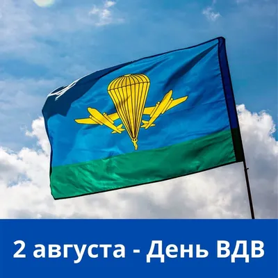 В Петербурге пригрозили отключить фонтаны в День ВДВ: Общество: Россия:  