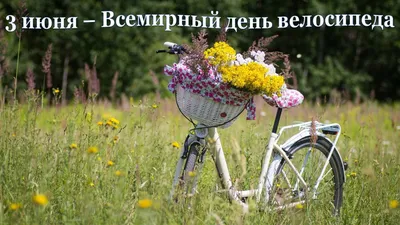 Всемирный день велосипеда! — Управление по делам молодежи Нижнекамского  муниципального района