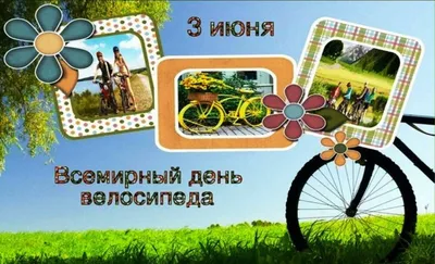 Всемирный день велосипеда 2024: какого числа, история и традиции праздника