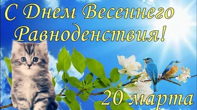 Минэкологии МО on X: "Сегодня отмечается день весеннего равноденствия.  Солнце переходит из южного полушария в северное, и в эти дни во всех  странах день почти равен ночи. Если быть максимально точными, по