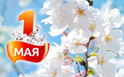 1 Мая — День весны и труда! - новости центра окон "Стеклопласт"