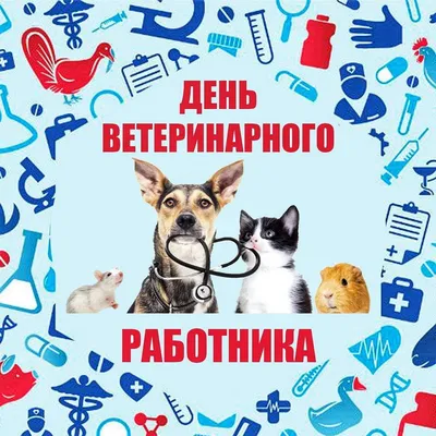 С Днем ветеринарного работника России! | Компания МедопроВет