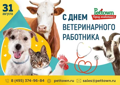 Поздравляем с Днём ветеринарного работника!