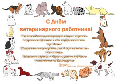 31 августа - День ветеринарного работника – Новости