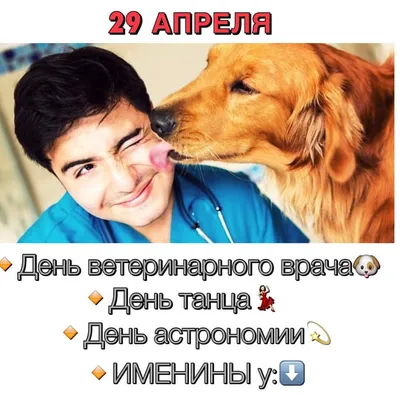 Поздравляем со Всемирным днём ветеринарного врача! - SonoScape Украина