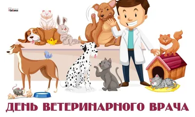 Международный день ветеринарного врача отмечается 29 апреля | Ветеринария и  жизнь