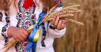 Символ національної гордості: в Україні відзначають День вишиванки - МІСТО