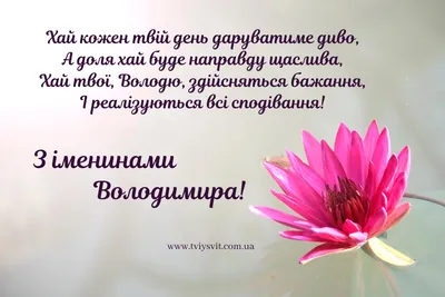 С Днем ангела Владимира: оригинальные поздравления в стихах, открытках и  картинках — Разное