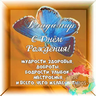Концерт в день рождения Владимира Мулявина | Белорусская государственная  филармония