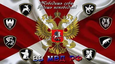 18 марта - День внутренних войск Республики Беларусь! • Гомельский  областной комитет | БРСМ |