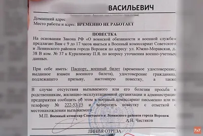 Как я водила призывников в военкомат и насмотрелась там такого, о чем до  сих пор не могу забыть | Свежий взгляд | Дзен