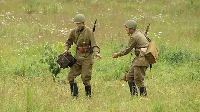 20 октября — День военного связиста |  | Архангельск - БезФормата