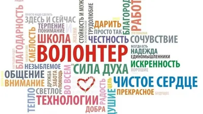 Сегодня Днепр отмечает Международный день волонтера — Сайт телеканалу  Відкритий