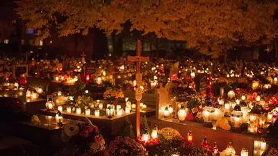 День всех святых в Польше: где дешево купить свечи и цветы - Покупки в  Польше
