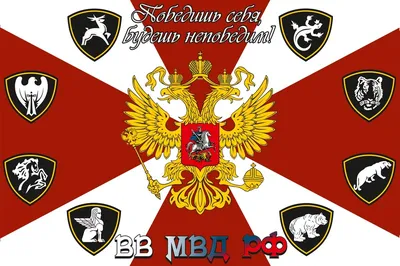 День вв #6