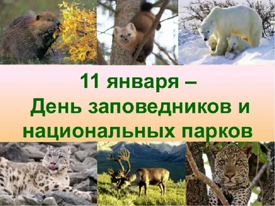 День заповедников и национальных парков — Википедия