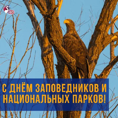 День заповедников и Национальных парков России » Национальный парк  «Нечкинский»