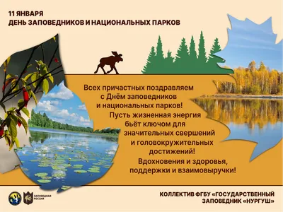 11 января - День заповедников и национальных парков | Экологический турист  | Дзен