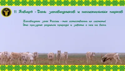 11 ЯНВАРЯ В РОССИИ ОТМЕЧАЕТСЯ ДЕНЬ ЗАПОВЕДНИКОВ И НАЦИОНАЛЬНЫХ ПАРКОВ -  Большая Кокшага