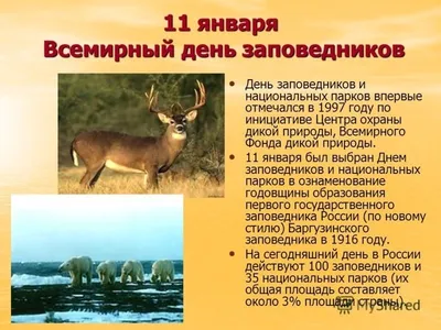 11 января - Всероссийский день заповедников и национальных парков. -  Липецкий зоопарк