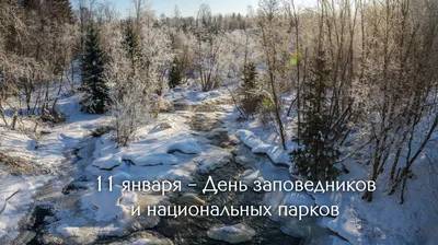 День заповедников и национальных парков |  | Междуреченск -  БезФормата
