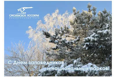 В России отмечают День заповедников и национальных парков - Сайт  национального парка "Смоленское поозерье"