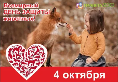 4 октября - Всемирный день защиты животных - Новости - Управление по  образованию, спорту и туризму Дзержинского райисполкома