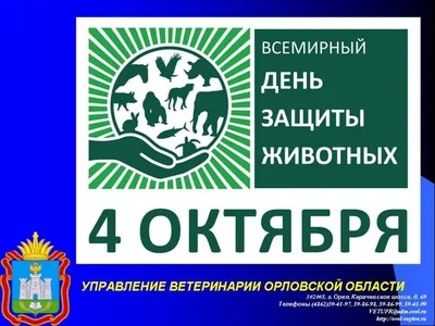 День защиты животных в библиотеке "Классика" » МБУК «Библионика» -  городские библиотеки Великого Новгорода