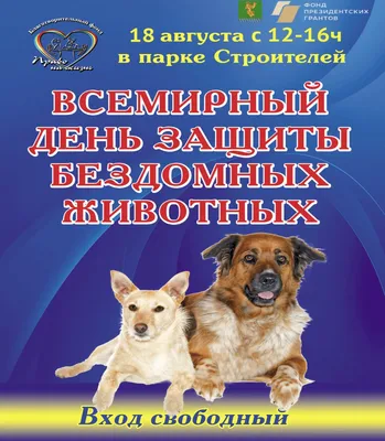 4 октября – День защиты животных - Российская Государственная библиотека  для слепых