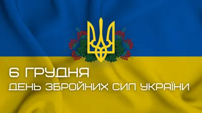 6 грудня - День Збройних Сил України