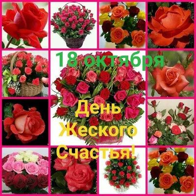 С Днём женского счастья💐 #21февраля #день #женскогосчастья #девочки #... |  TikTok