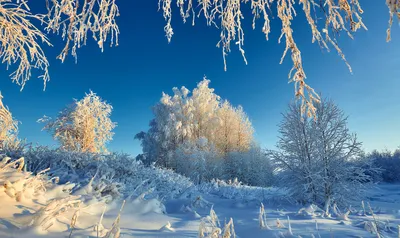  – день зимнего солнцестояния | Местное время - новости  Рубцовска и Алтайского края