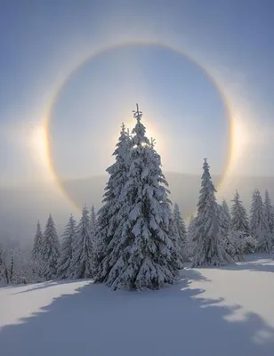 День зимнего солнцестояния картинки