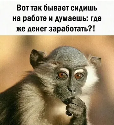 Множество вопросов о том, почему деньги – это зло, деньги портят людей. А  вот я спрошу, почему деньги – это добро и почему они полезны и без них  никак?» — Яндекс Кью