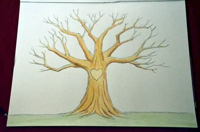 Как нарисовать дерево ✍ 100 фото прикольных шаблонов и образцов как  рисовать дерево карандашом поэтапно для детей | Рисунки, Рисовать, Пейзажи
