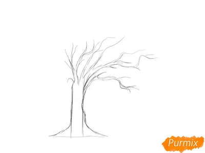 Детский рисунок дерева простым карандашом (45 фото) » рисунки для срисовки  на Газ-квас.ком