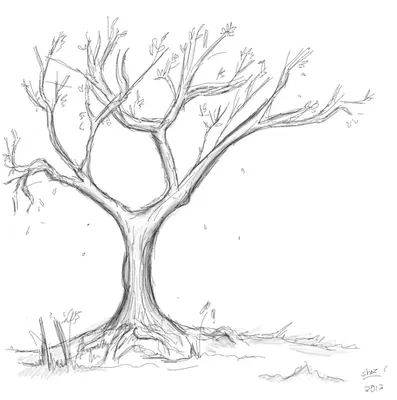 Как нарисовать дерево: карандашом поэтапно (100 фото): учимся рисовать  красивое дерево по эскизам от художника, уроки для начинающих