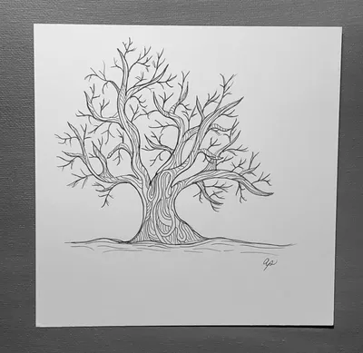 Дерево простой рисунок (22 фото) » Рисунки для срисовки и не только