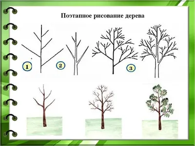 Дерево для срисовки для детей. Простые рисунки.